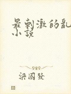 最刺激的乱子伦小说
