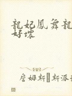 龙妃凤舞龙王你好坏