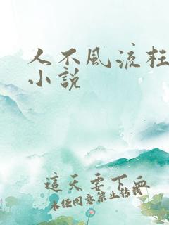 人不风流枉少年小说