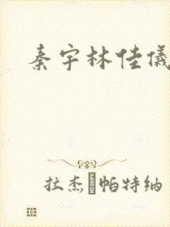 秦宇林佳仪小说