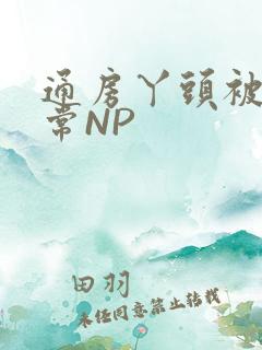 通房丫头被肉日常NP