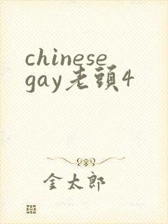 chinesegay老头4