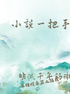 小说一把手