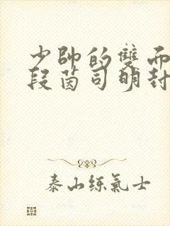 少帅的双面宠妻段茵司明封免费