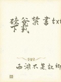 硅谷禁书txt下载