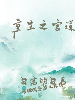 重生之官道TXT