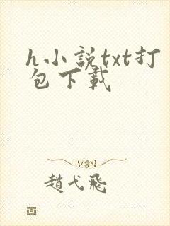 h小说txt打包下载