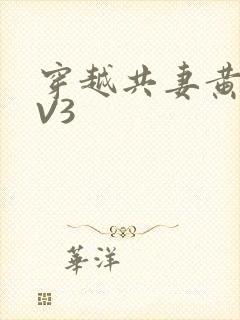 穿越共妻黄暴1V3
