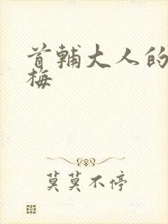 首辅大人的小青梅