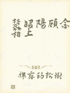 楚昭阳顾念在冰箱上