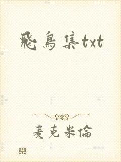 飞鸟集txt