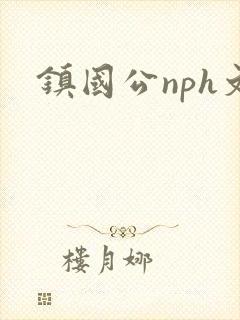 镇国公nph文