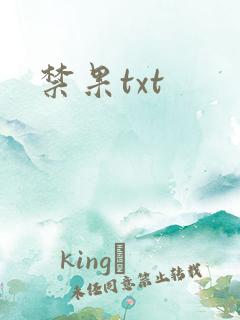 禁果txt