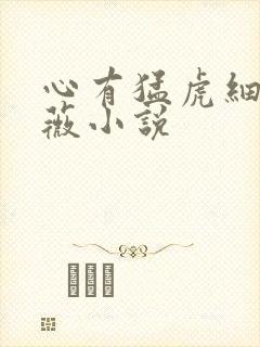 心有猛虎细嗅蔷薇小说