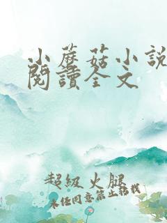 小蘑菇小说免费阅读全文