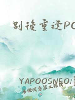 别后重逢POP