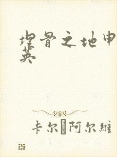 埋骨之地申屠奎英