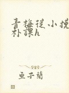 青梅从小摸到大补课h