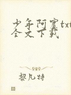 少年阿宾txt全文下载