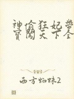 神偷狂妃带着宝宝闯天下全文免费阅读