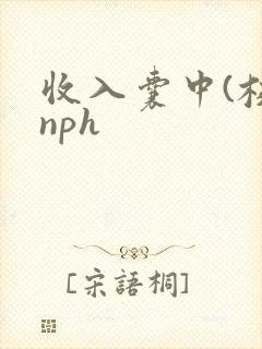 收入囊中(校园nph