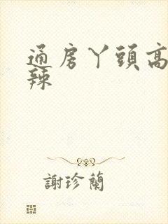 通房丫头高h肉辣