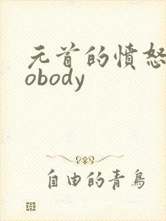 元首的愤怒之nobody