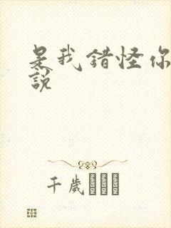 是我错怪你了小说