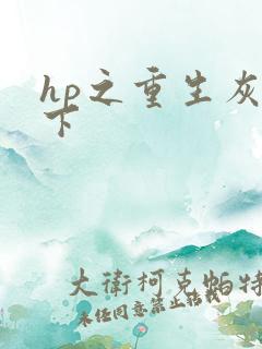 hp之重生灰猊下