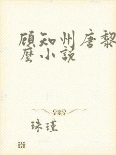 顾知州唐黎叫什么小说