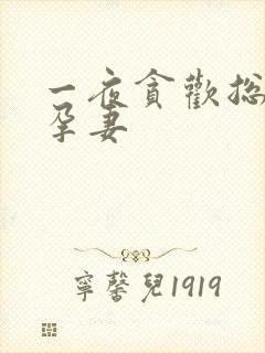 一夜贪欢总裁幸孕妻