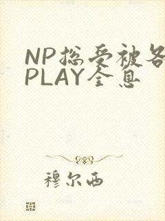 NP总受被各种PLAY全息
