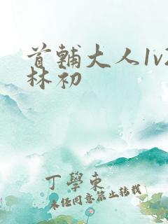 首辅大人1v2林初