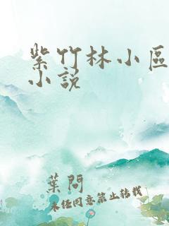 紫竹林小区快递小说