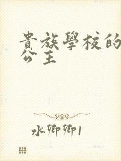 贵族学校的双面公主