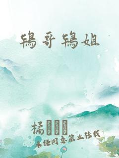 鸨哥鸨姐