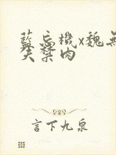 蓝忘机x魏无羡失禁肉