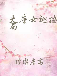 大唐女巡按大结局