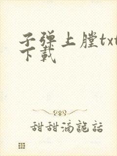 子弹上膛txt下载