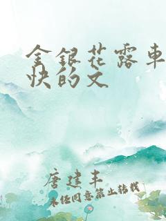 金银花露车速最快的文