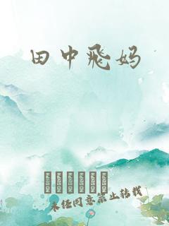 田中飞妈