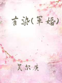 有染(军婚)