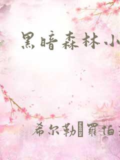 黑暗森林小说