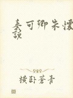 秦可卿朱怀镜小说