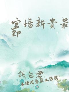 官场新贵最新章节