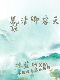 凤清卿容天凌小说