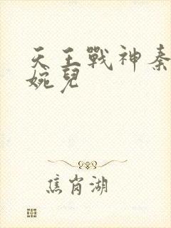 天王战神秦武林婉儿