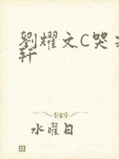 刘耀文C哭宋亚轩