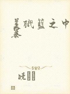 美职篮之中国风暴