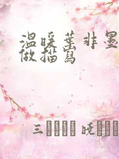 温暖叶非墨车内做描写